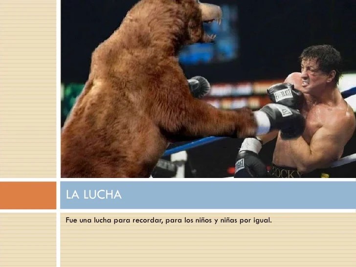 Un oso y un amor summary