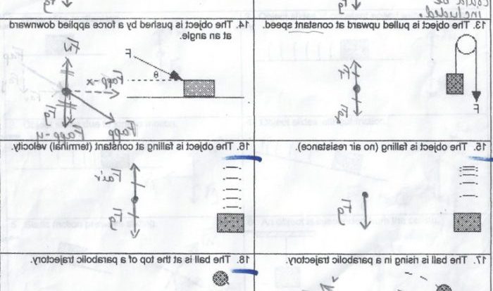 Free body diagrams worksheet physics