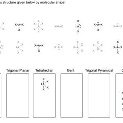 Classify lewis given structure chegg each below solved transcribed problem text been show has