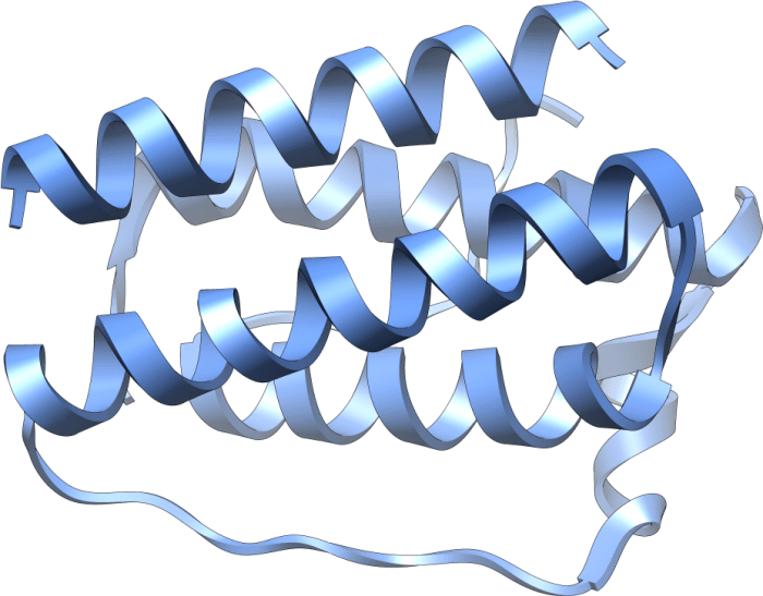 Leptin biological resistance leptitox